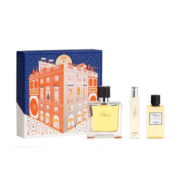 TERRE D' HERMES PURE PERFUME 2.5 SET M