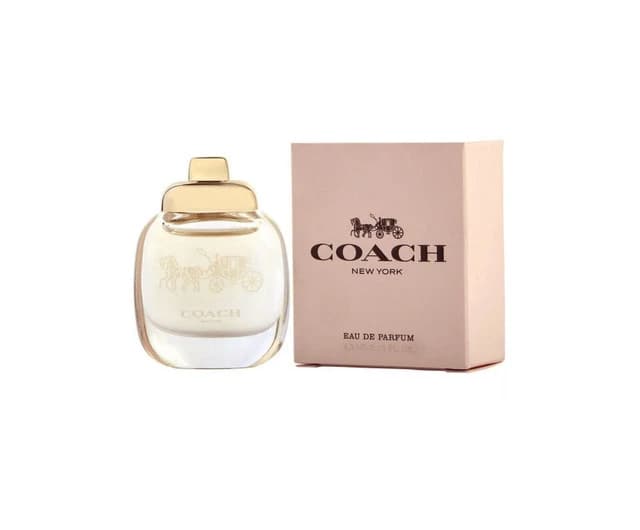 COACH NEW YORK MINI