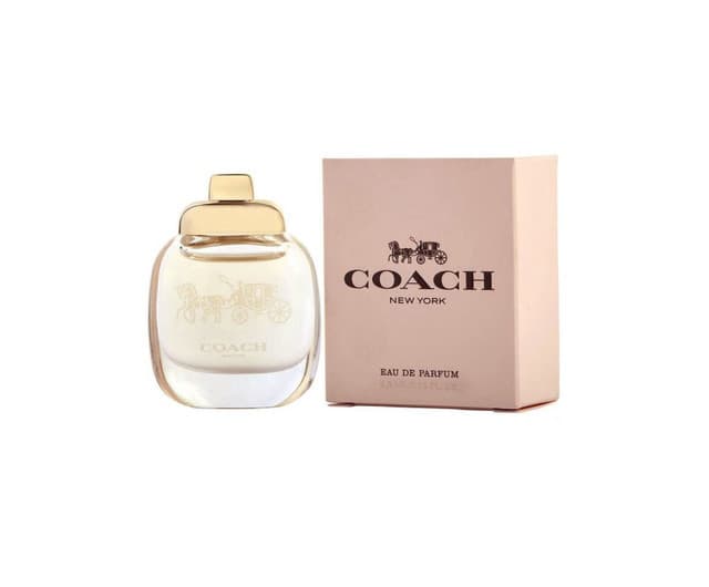 COACH NEW YORK MINI